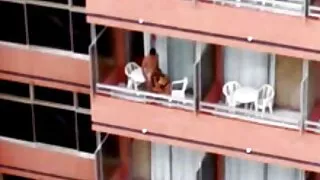 Küps Armuke Sunnitud neiu lakkuda tutti