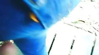 Lesbid koos strapon fuck ja siis tuua üksteist orgasm koos Cunnilingus